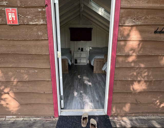 Crash Cabin
