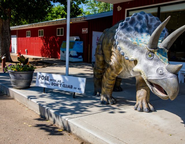 Drumheller/Dinosaur Trail KOA