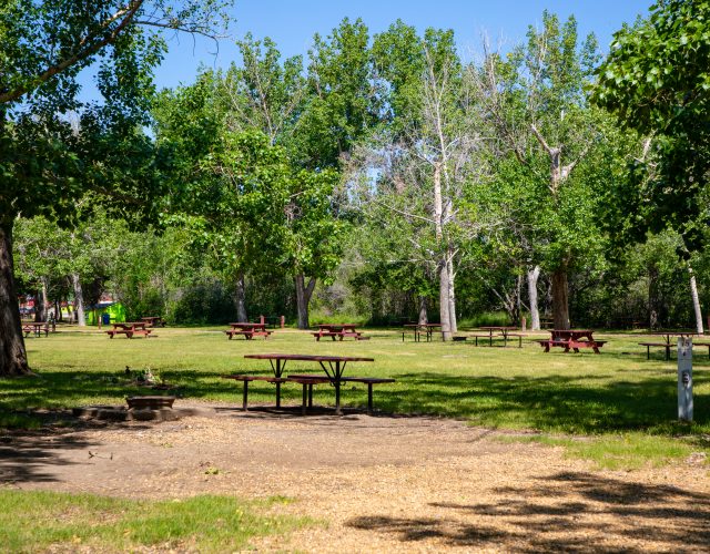 Drumheller/Dinosaur Trail KOA